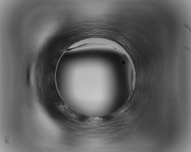 X0000099460429200805231810