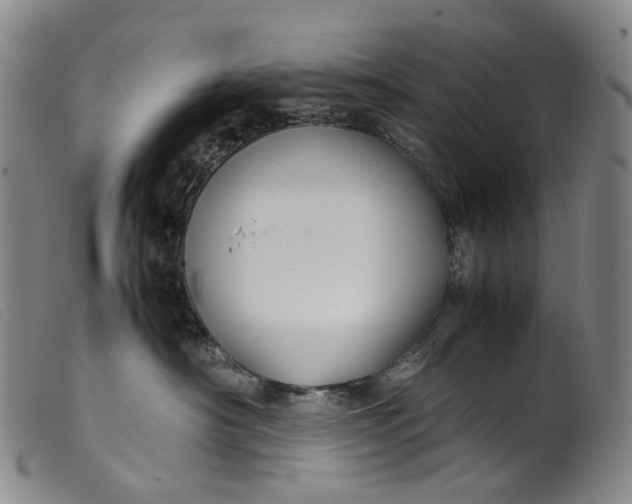 X0000099460430200805231810