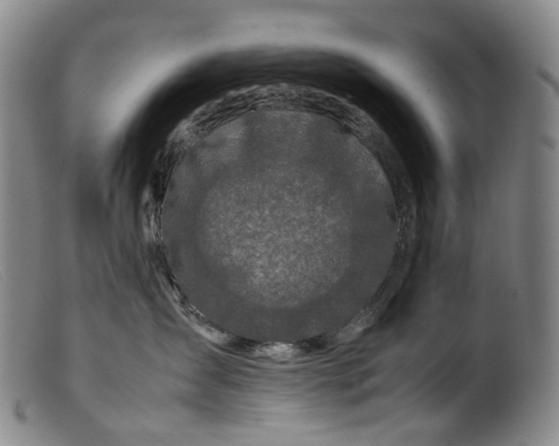 X0000099460431200805231810