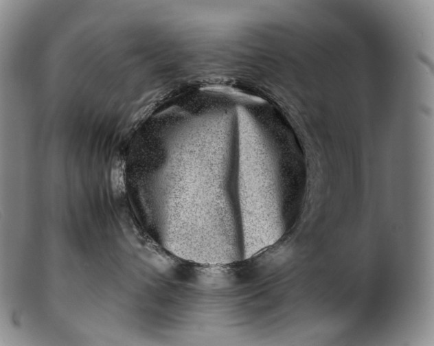 X0000099460432200805231810