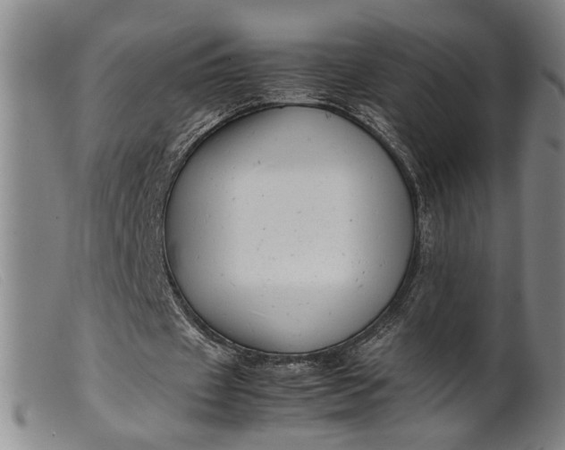 X0000099460433200805231810