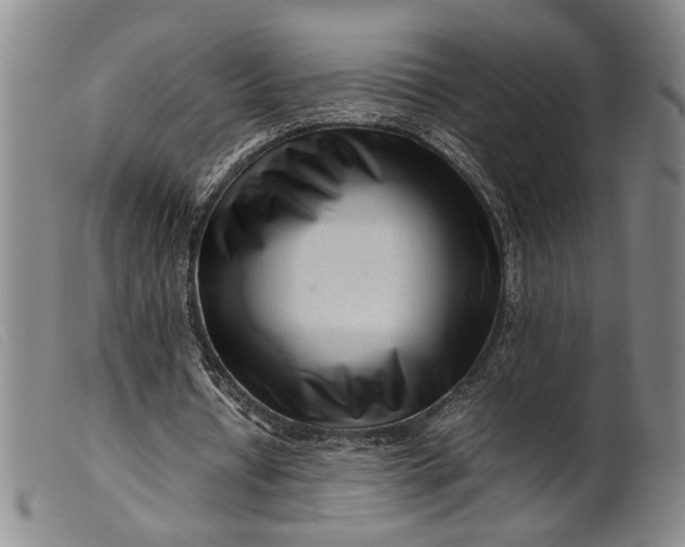 X0000099460434200805231810