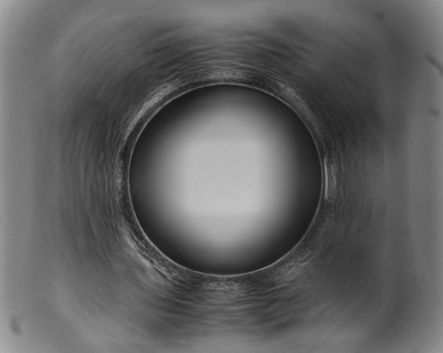 X0000099460435200805231810