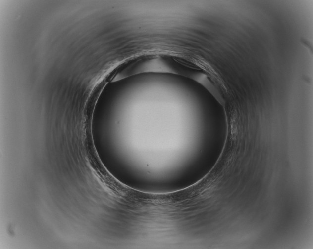 X0000099460436200805231810