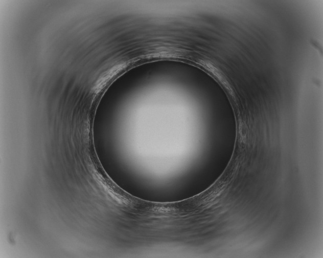 X0000099460437200805231810