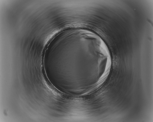 X0000099460438200805231810