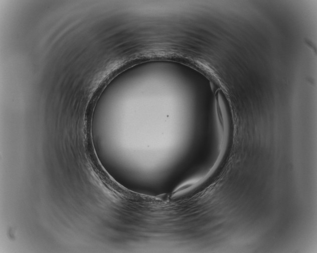 X0000099460439200805231810