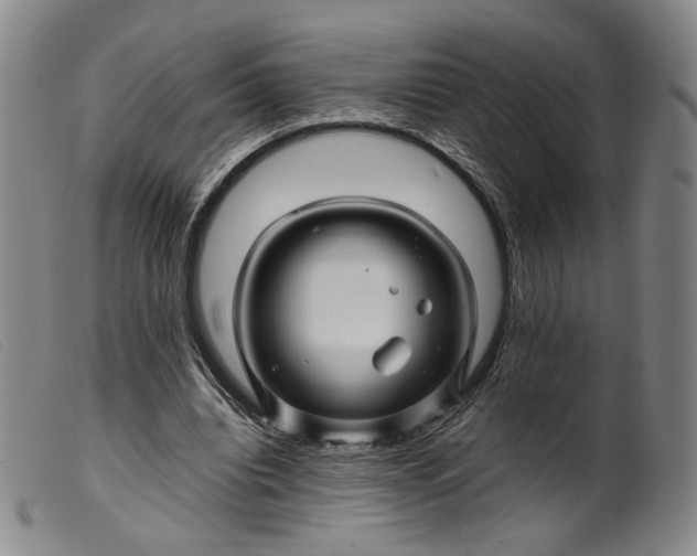 X0000099460440200805231810