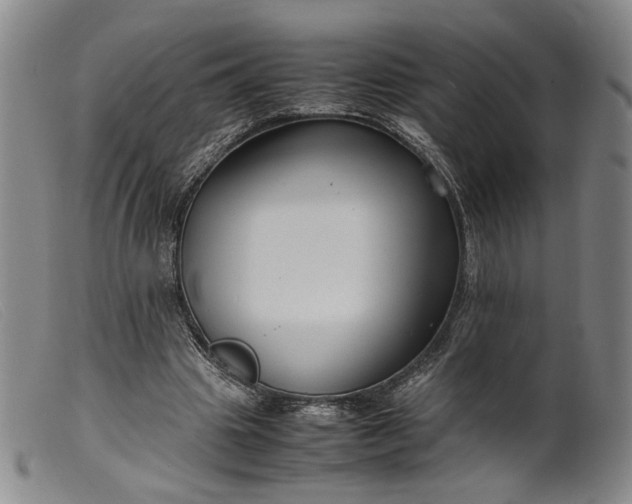 X0000099460441200805231810