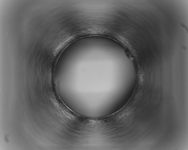 X0000099460442200805231810