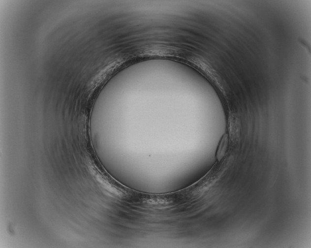 X0000099460445200805231810