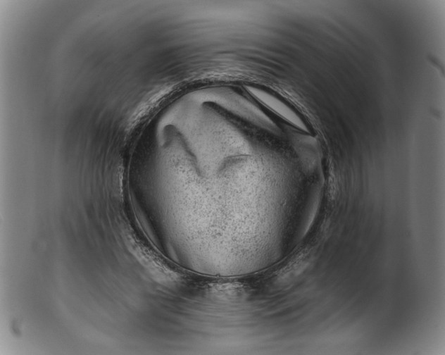 X0000099460446200805231810