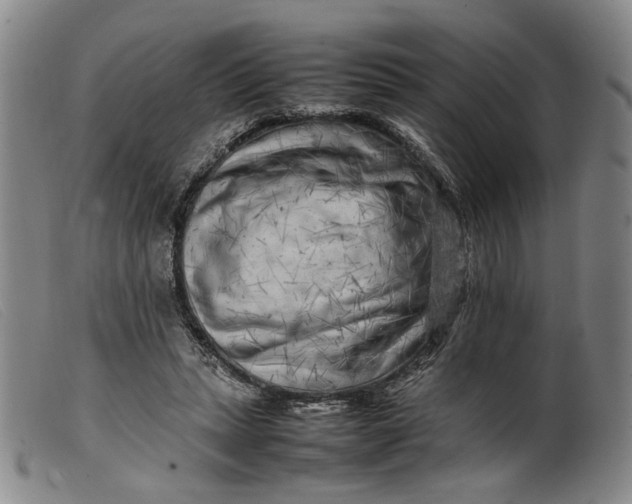 X0000099460447200805231810