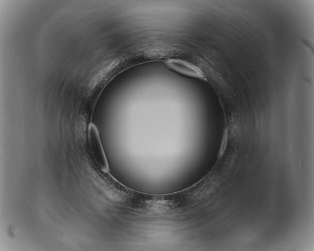 X0000099460448200805231810