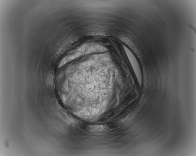 X0000099460449200805231810