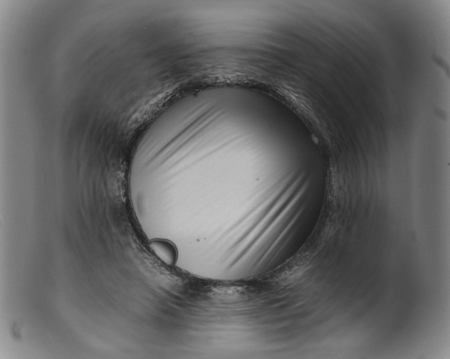 X0000099460450200805231810