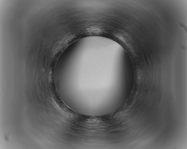 X0000099460451200805231810