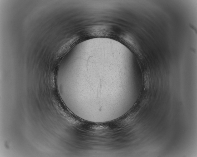 X0000099460453200805231810