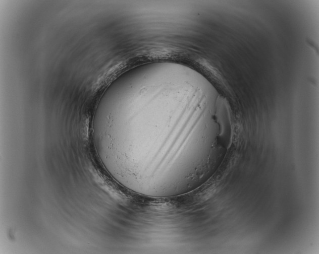 X0000099460454200805231810