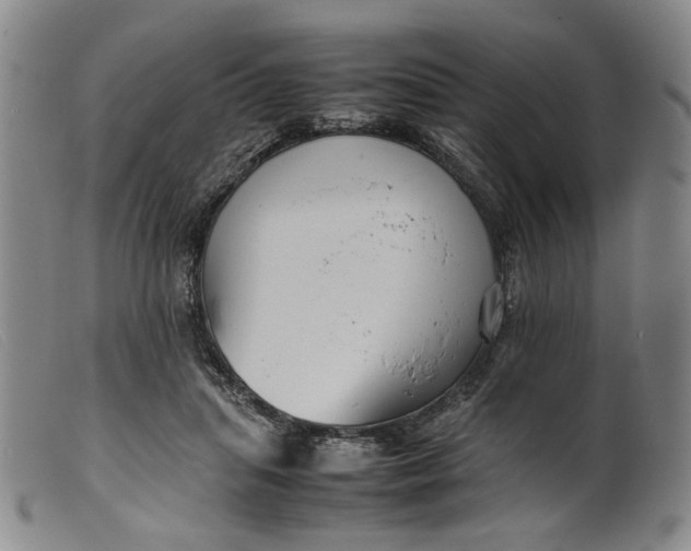 X0000099460455200805231810