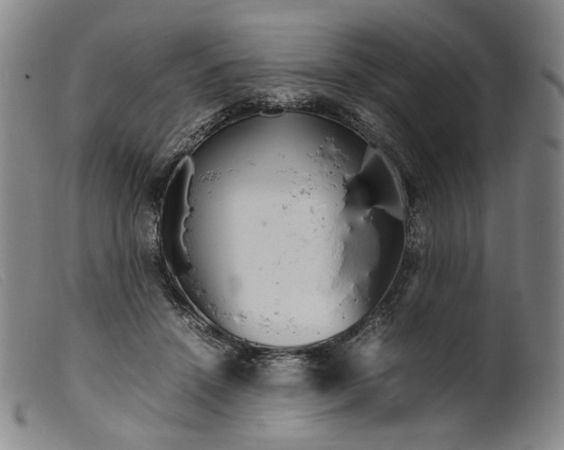 X0000099460456200805231810