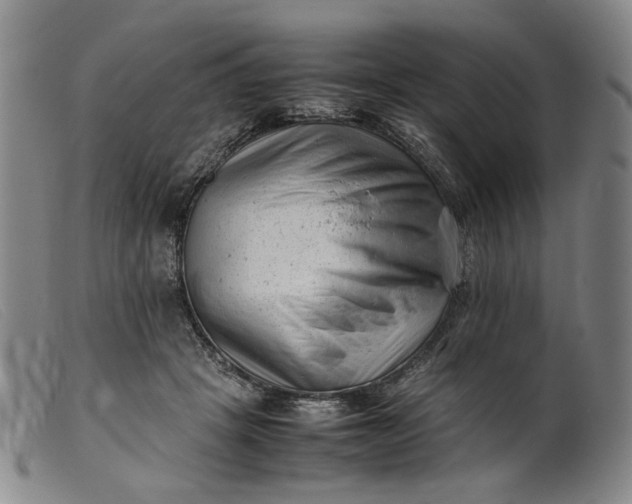 X0000099460457200805231810