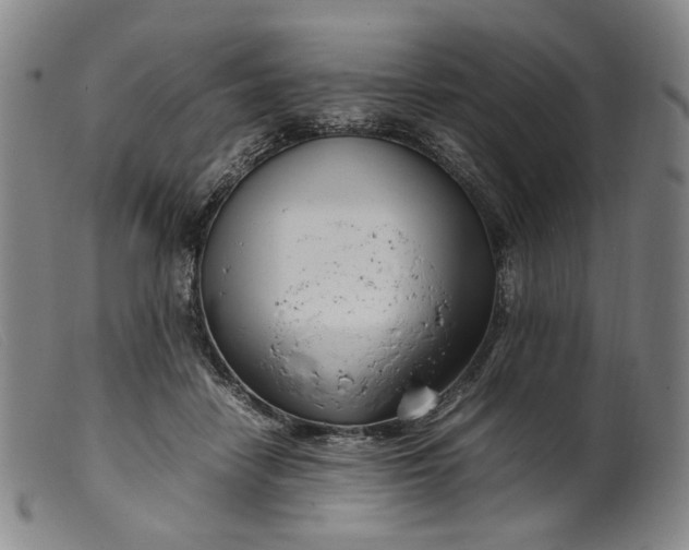 X0000099460458200805231810