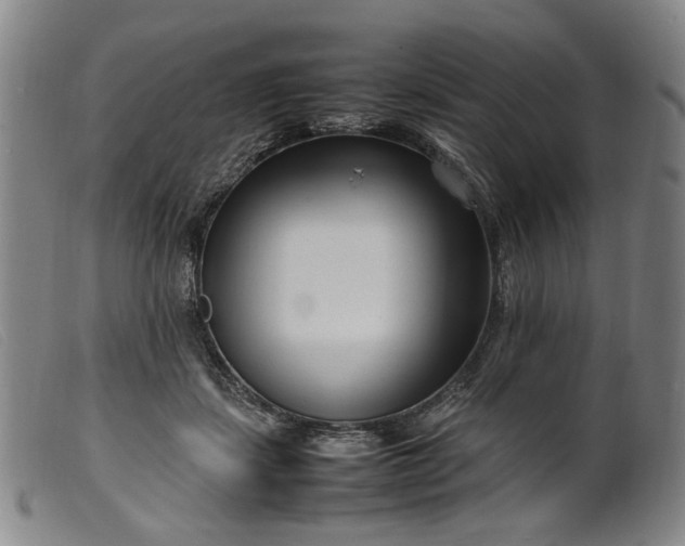 X0000099460459200805231810