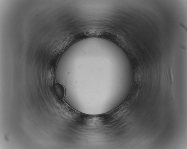 X0000099460460200805231810