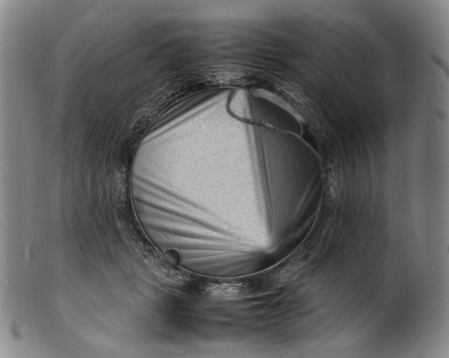 X0000099460461200805231810