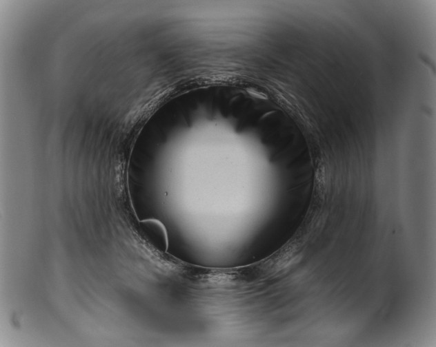 X0000099460462200805231810