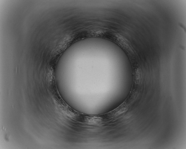 X0000099460463200805231810