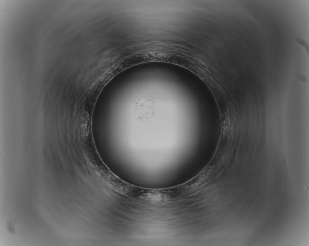 X0000099460464200805231810