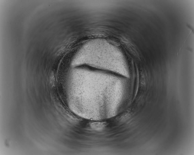 X0000099460465200805231810