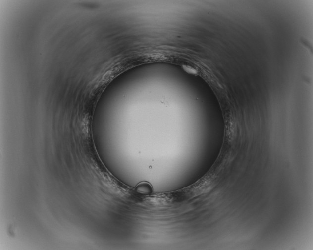 X0000099460466200805231810