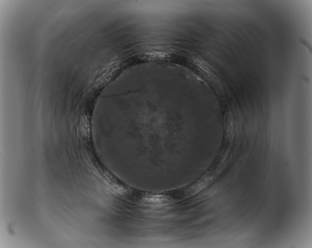 X0000099460467200805231810