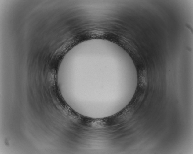 X0000099460468200805231810