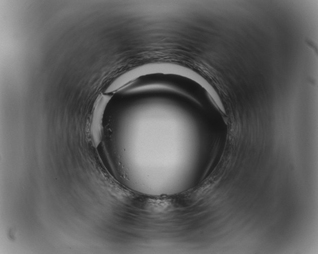 X0000099460469200805231810