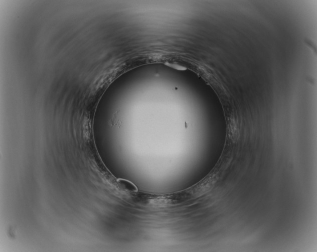 X0000099460470200805231810