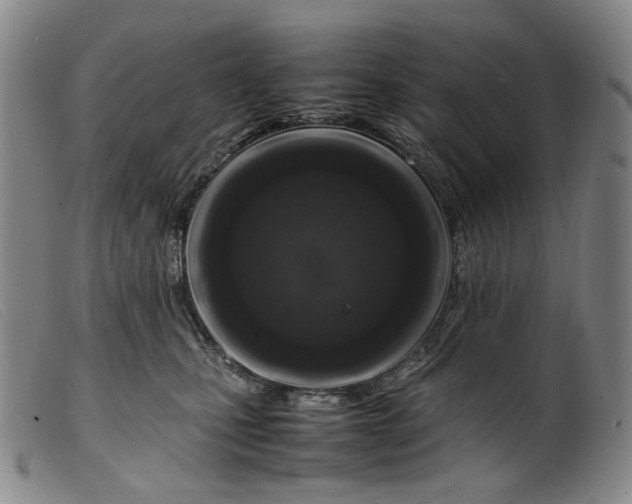 X0000099460471200805231810