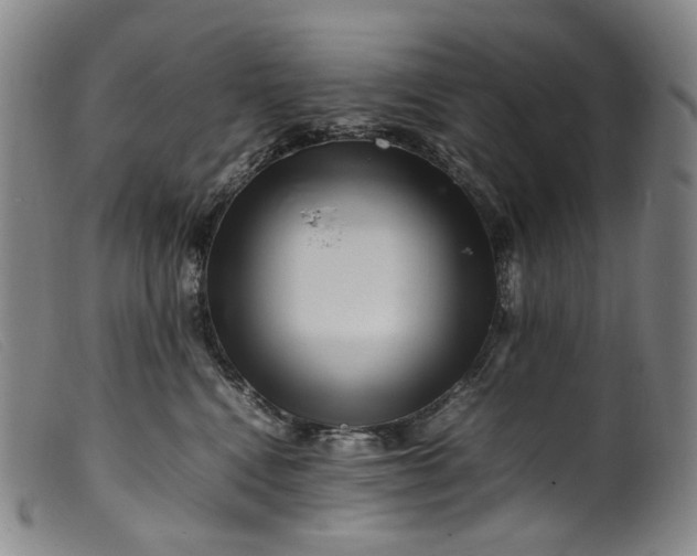 X0000099460472200805231810