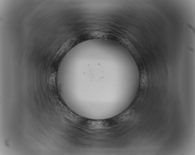 X0000099460473200805231810