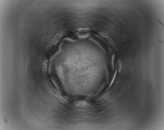 X0000099460475200805231810