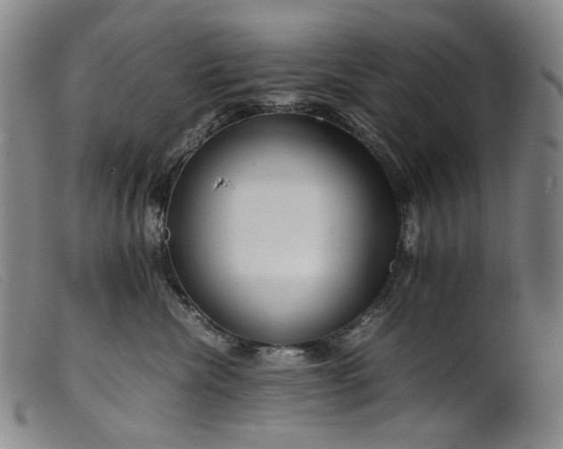 X0000099460476200805231810