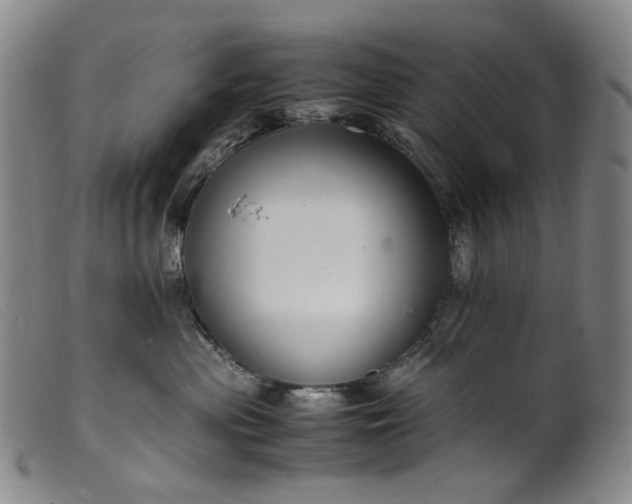 X0000099460477200805231810