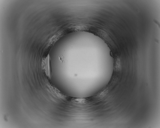 X0000099460478200805231810