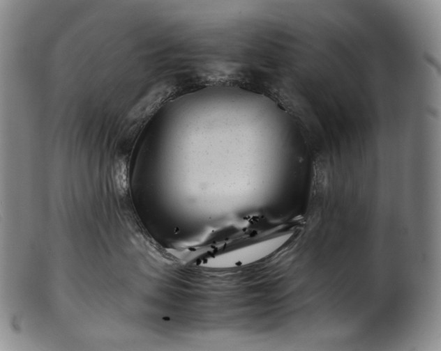 X0000099460479200805231810