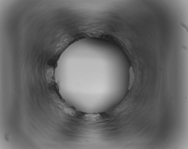 X0000099460480200805231810