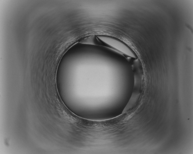 X0000099460481200805231810