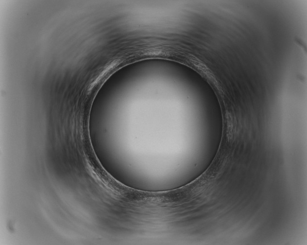 X0000099460482200805231810